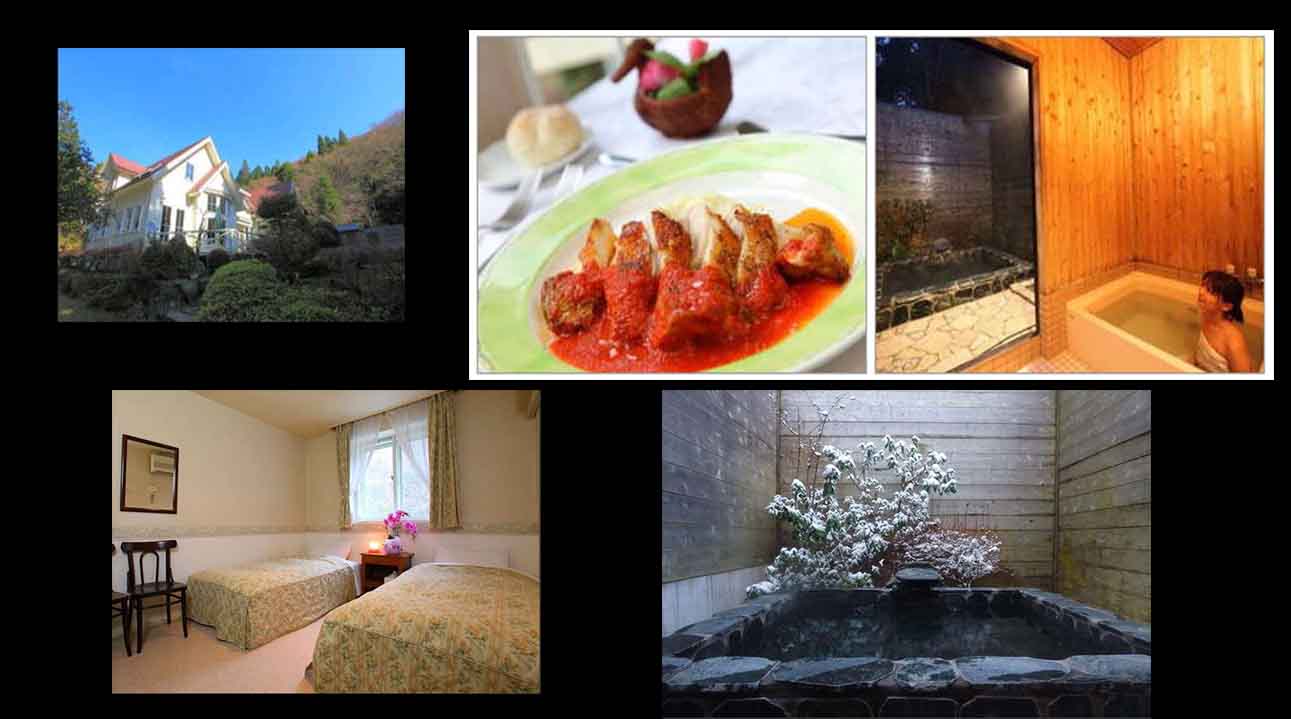 Hotel Hakone Pension Charlotte Japan Tour